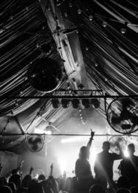 Imagen del Artículo