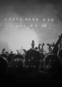 Imagen del Artículo