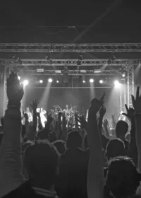 Imagen del Artículo