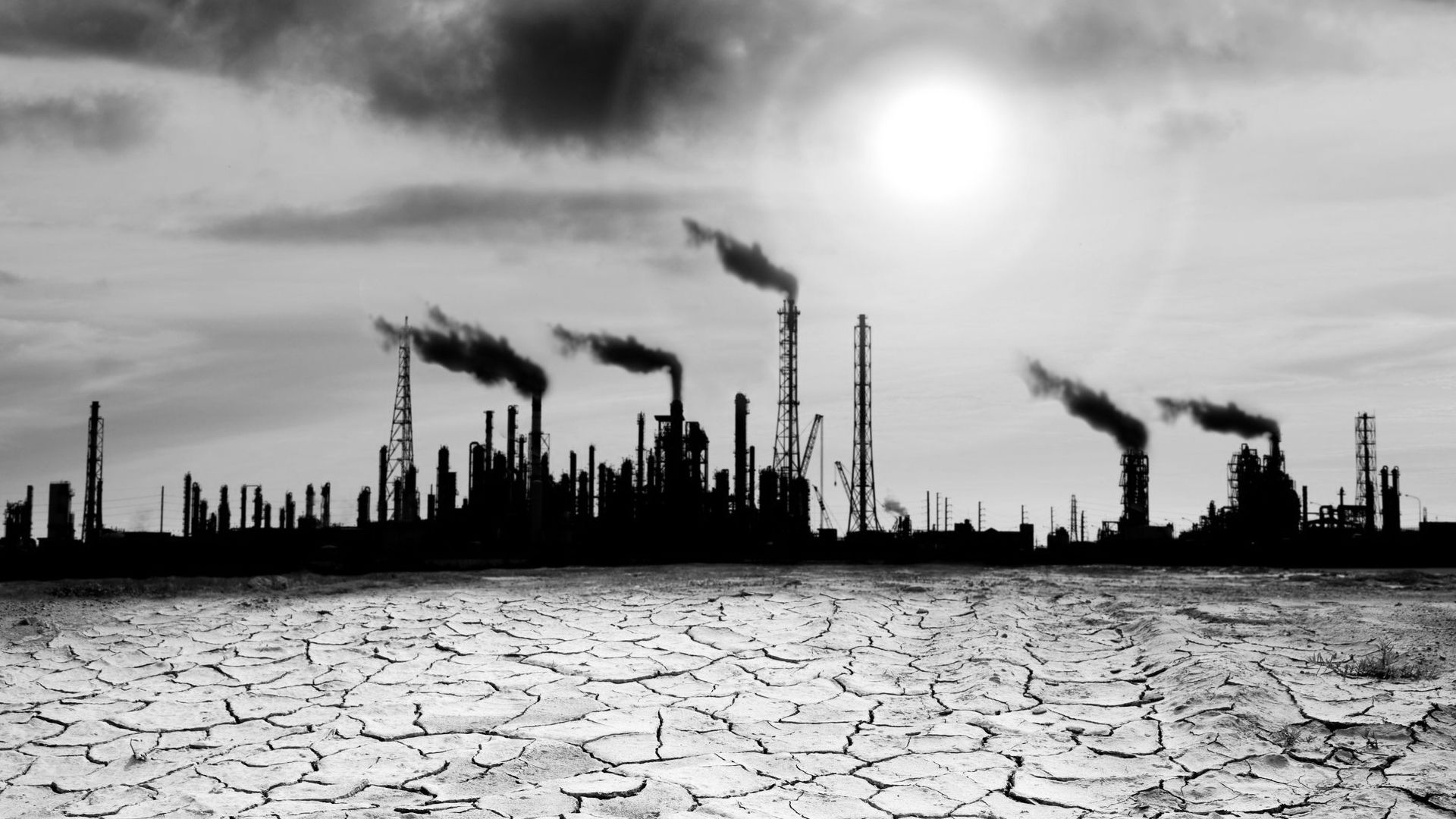 Imagen del Artículo